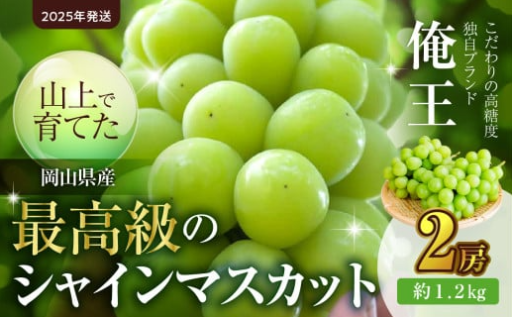 山上⛰️で育てた最高級シャインマスカット「俺王🍇」2房入り（令和７年１０月初旬～１０月下旬発送予定）