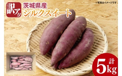 令和7年度のシルクスイート受付開始！