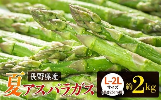 夏 アスパラガス 約2kg 農家直送 ハウス栽培（路地栽培あり）