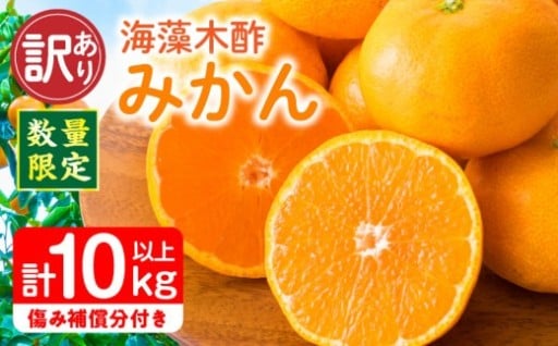  ＼毎年大人気の特産品！／海藻木酢みかん🍊