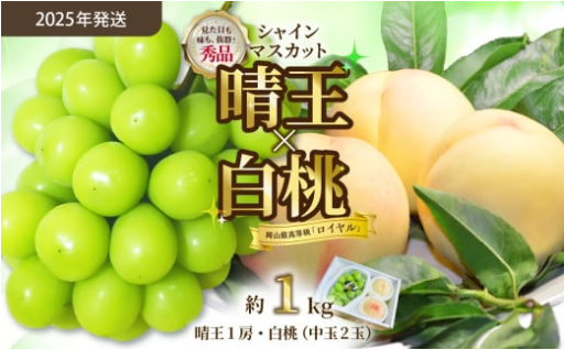 【岡山県産！☀️】 シャインマスカット晴王🍇×白桃🍑 約1kgセット（令和7年7月から8月発送）