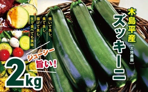 木島平産ズッキーニ 約2kg（太地農園） 