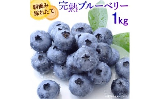 朝摘みの美味しさそのままに生ブルーベリーをお届け