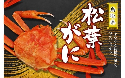 鳥取県　松葉がに特集
