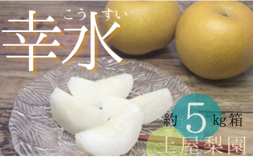 家族経営の土屋梨園の「幸水」まもなく出荷スタート