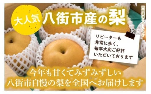 まもなく旬を迎える八街の梨！申込受付中です！！