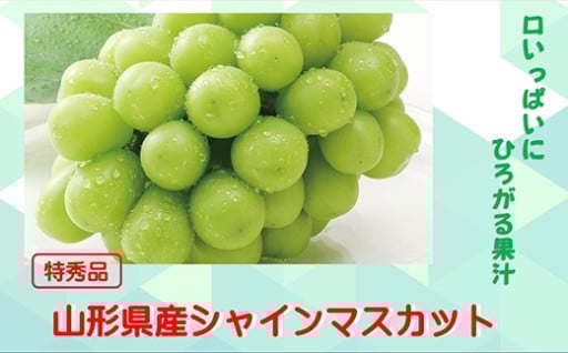 山形県飯豊町産 シャインマスカット（2房）