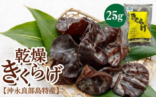 沖永良部島特産乾燥きくらげ25g×1袋のご紹介🌞