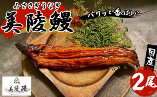 美陵鰻 (みささぎ うなぎ)