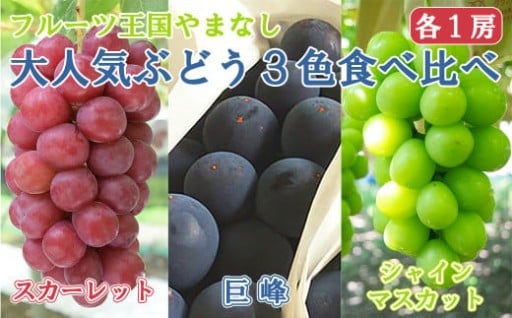 【新規】３色ぶどう食べ比べセット（巨峰・シャインマスカット・スカーレット 各１房・約2.15kg）