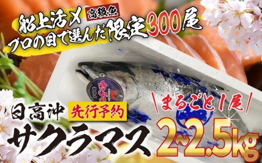 船上活〆！サクラマスまるごと1尾の先行受付開始！