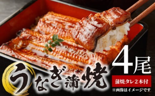 うなぎ蒲焼 4尾 & 蒲焼タレ 2本 セット