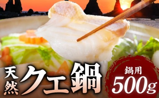 天然 クエ鍋 500g くえ鍋セット