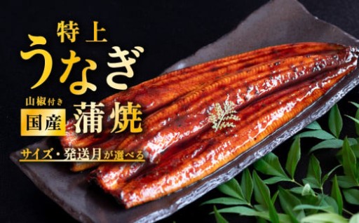 【本日7/23まで！二の丑の日7/31までにお届け！】国産うなぎ蒲焼