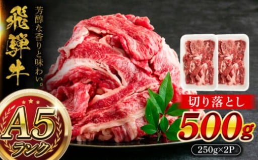 ＼贅沢お肉！／A5等級 飛騨牛切り落とし500g