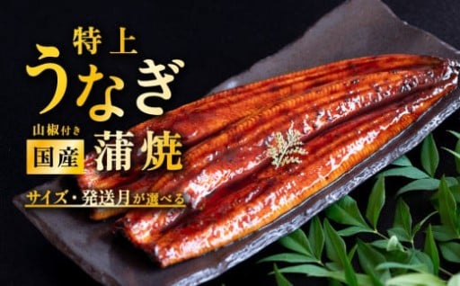 【本日7/23まで！二の丑の日7/31までにお届け！】国産うなぎ蒲焼