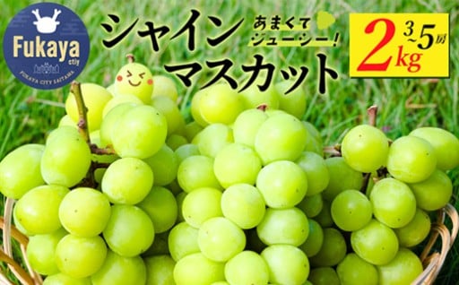 〈先行予約〉シャインマスカット 2kg