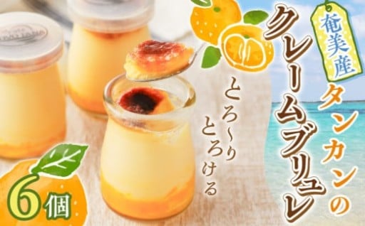 🍊奄美産タンカンのクレームブリュレ（6個入り）のご紹介✨