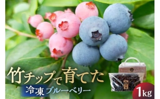 竹チップで育てた、冷凍ブルーベリー 1kg