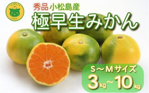 爽やかな酸味とほどよい甘さ。旬の極早生みかんをご賞味下さい！