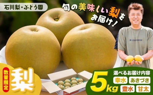 【幸水梨】まもなく終了結城市が誇る梨をご紹介