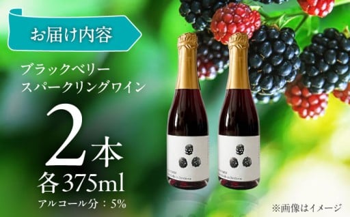 手摘みベリー100％のスパークリングワイン！