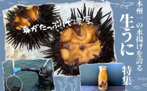 身がたっぷりで濃厚！「種市産」生うに特集
