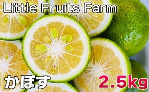 リトルフルーツファームのかぼす 約2.5kg