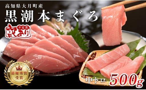 味･品質は「訳ナシ」！“マグロ品評会最優秀賞受賞”黒潮本まぐろ 中トロ