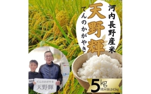 ＼令和7年産米「天野輝」の予約を開始しました／