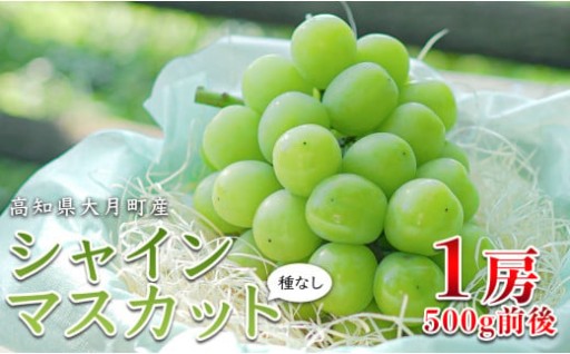 地元の農家さんが1房1房丁寧に育てたブドウ、数量限定でお届け！