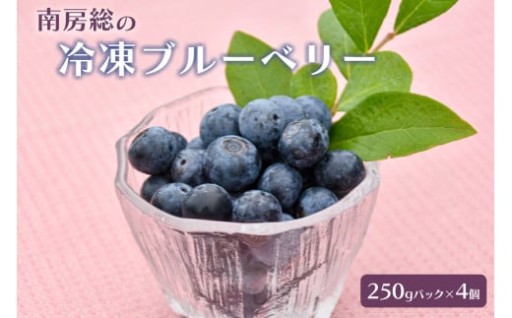 南房総の冷凍ブルーベリー 250g×4パック