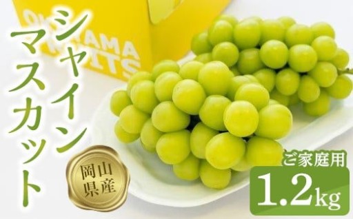 ご家庭用シャインマスカット1.2kg（2～3房）【数量限定300セット】