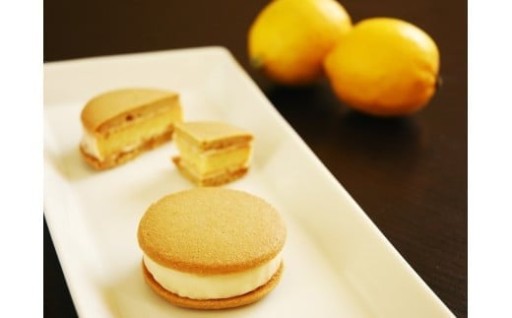 こだわりの味わいでシリーズ販売100万個超！広島レモンのサブレケーキ10個入