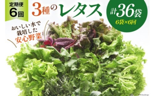 日本一ちいさな村の野菜工場でつくった安心野菜