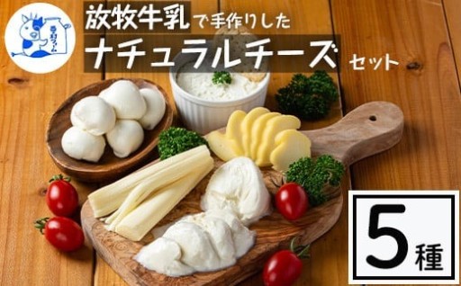 放牧牛乳の手作りチーズセット(5種)  【西ノ村ファーム】