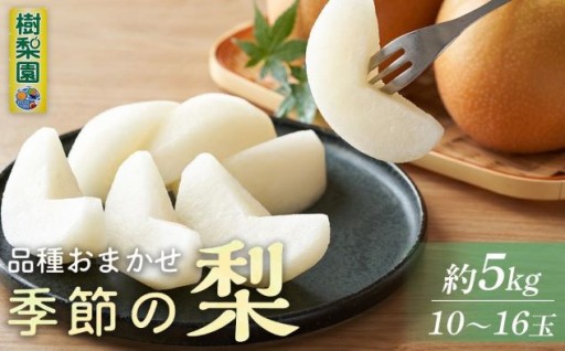 ★★季節の梨約5kg(10～16個入り )★★品種おまかせ（豊水・秋月・新興）