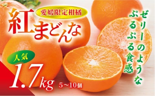 🍊【先行予約】数量限定 紅まどんな 1.7kg （5～10個）✨