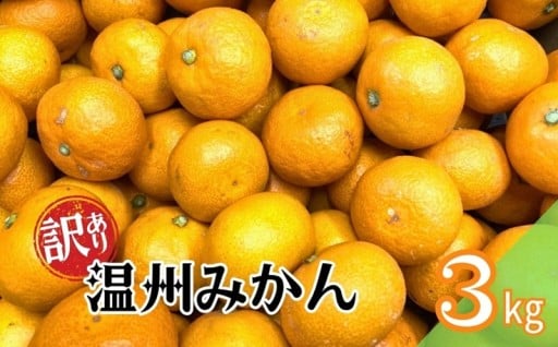 訳あり愛媛みかん🍊温州みかん　3kg🍊