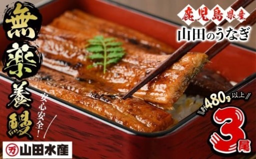 鹿児島産 山田のうなぎ ＜計480g以上＞3尾