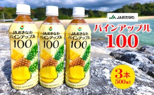 パインアップル100（500ml）3本セット