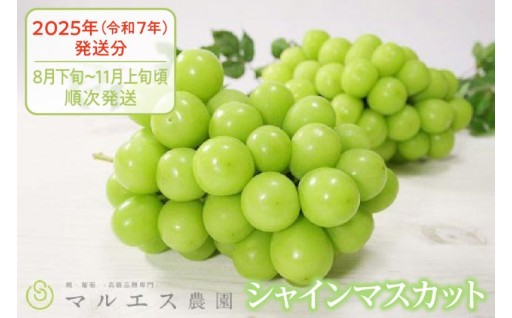 ～マルエス農園は品質を一番に考えております～