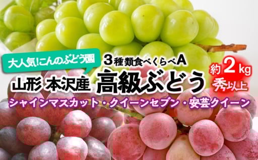 大人気！山形本沢産 高級ぶどう 3種食べくらべA