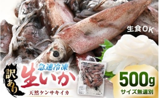 【訳あり】獲れたてを急速冷凍！お刺身OK✨高鮮度