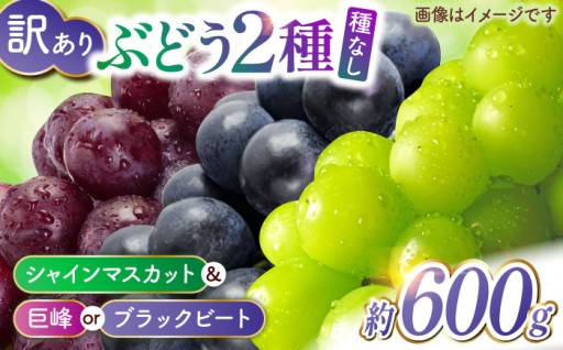 【訳あり】種なし ぶどう 2種食べ比べセット 約600g