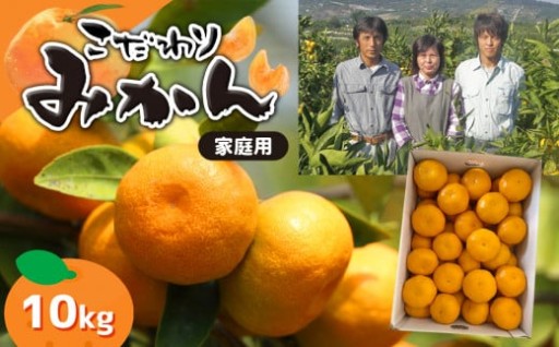 ≪家庭用≫こだわりみかん『豊華の夢ロード』10kg