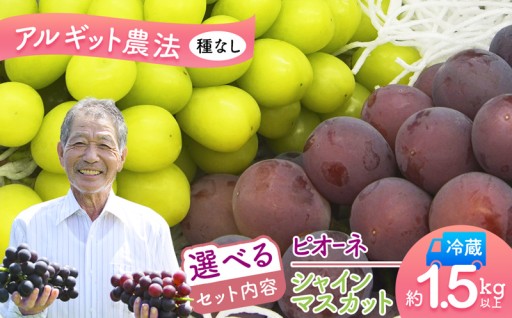 【選べるセット】 アルギット葡萄 3房 シャインマスカットピオーネ 1.5kg以上