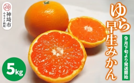 人気急上昇のゆら早生みかん5kgをお届けします♪