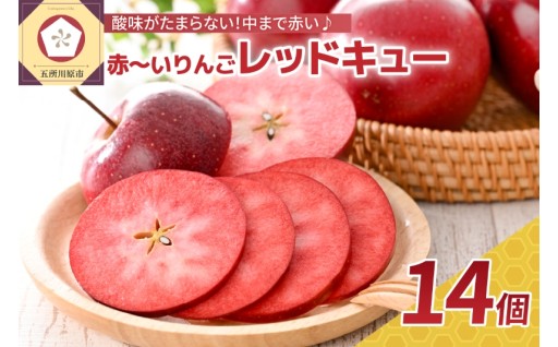 🍎チョイス限定🍎【選べる配送時期】9月 10月 11月 りんご レアな品種レッドキュー 約2kg（14個）