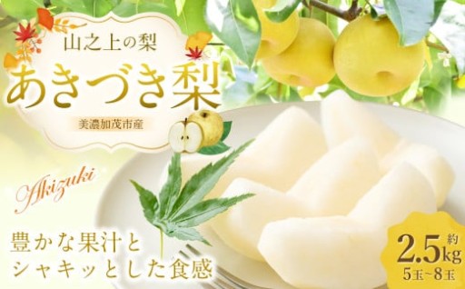 《先行予約》山之上の梨 あきづき梨 5-8玉